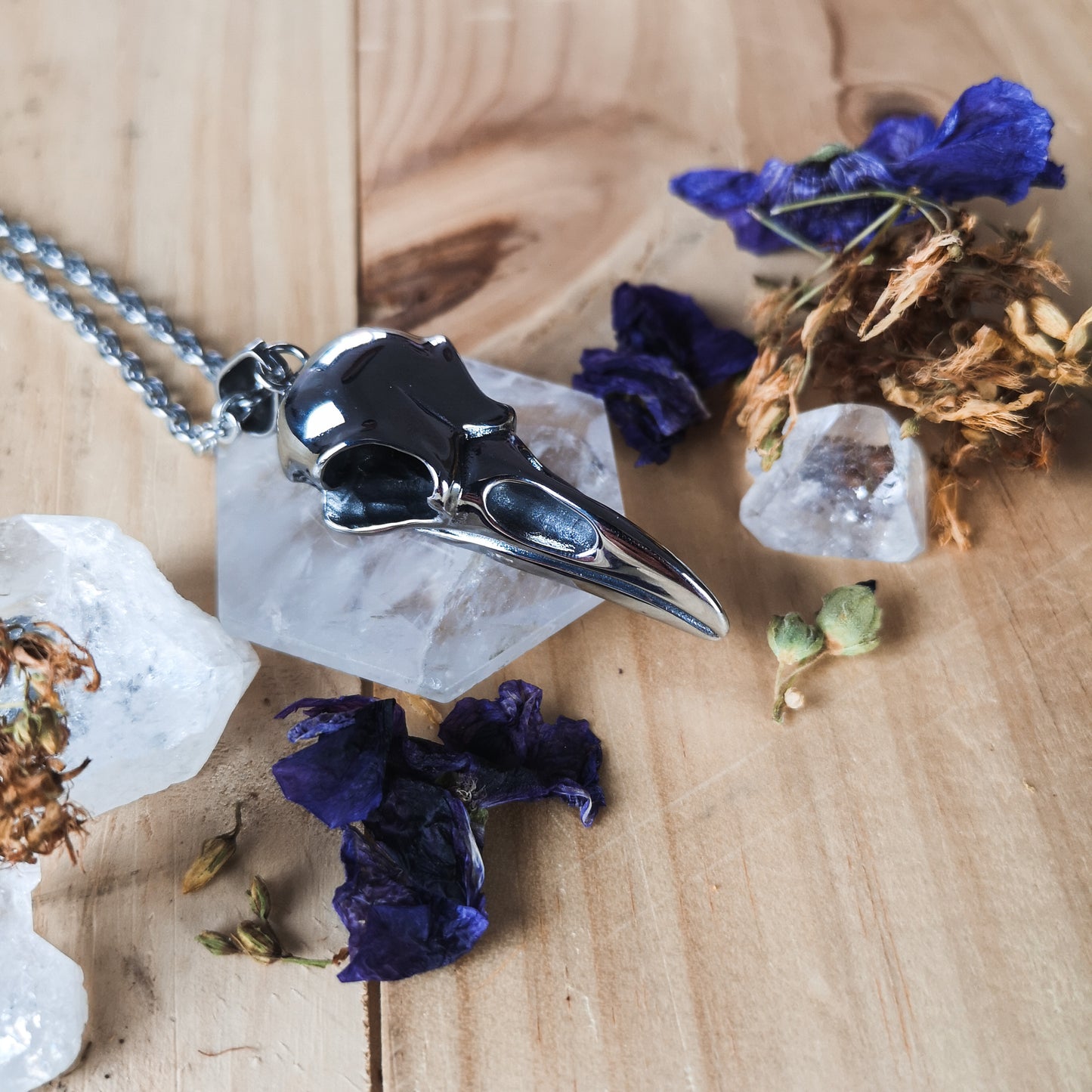 Stainless steel big bird skull gothic necklace Baguette Magick