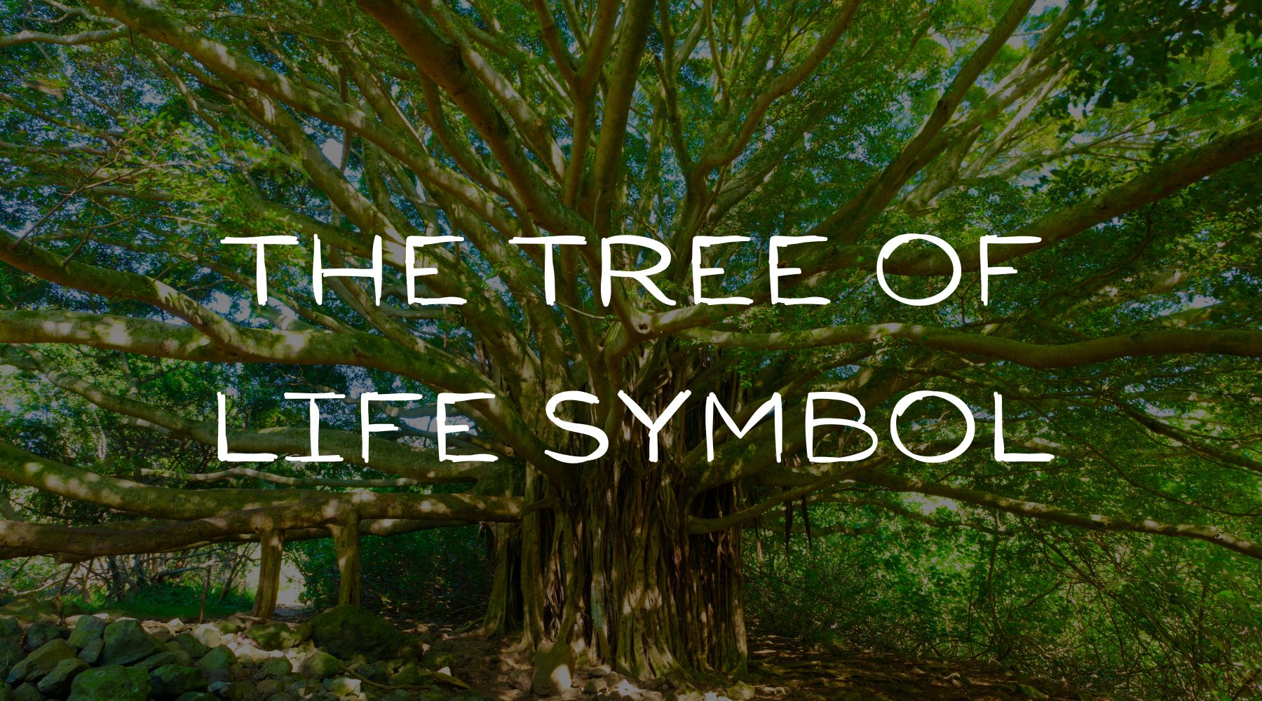The tree of life, an universal spiritual symbol – Baguette Magick