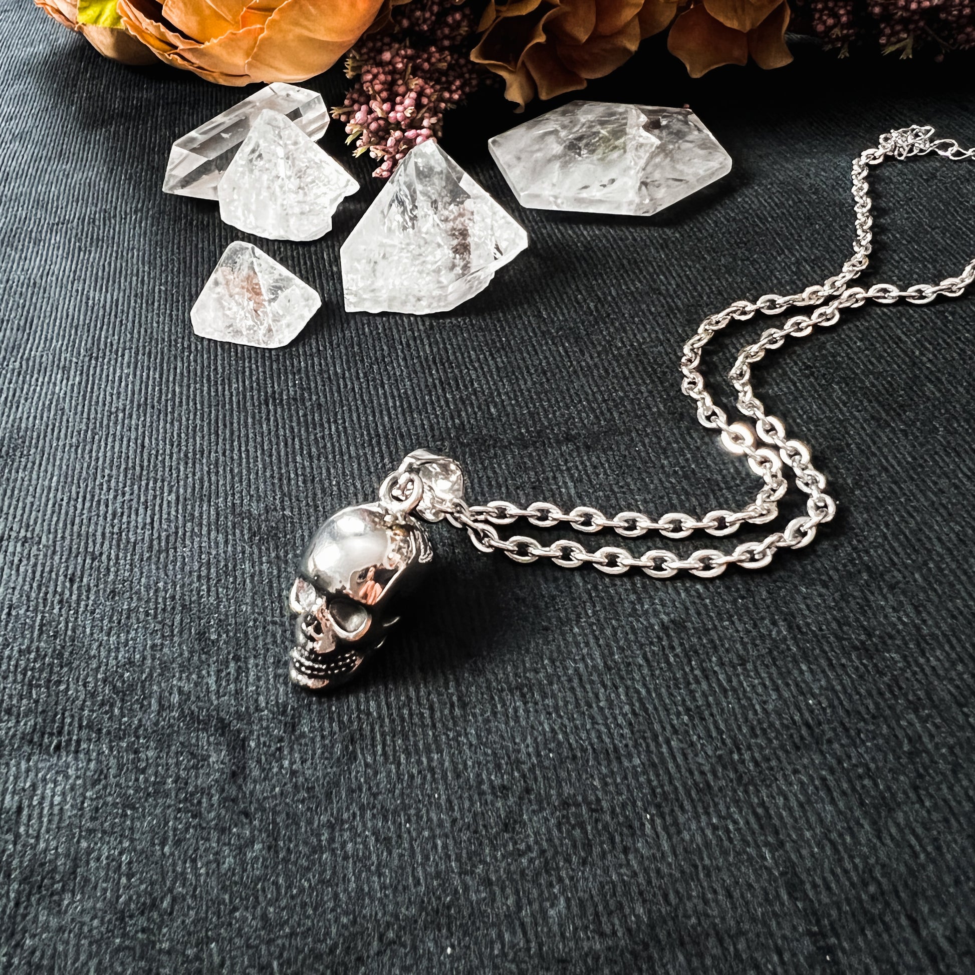 Stainless steel skull gothic necklace The French Witch shop