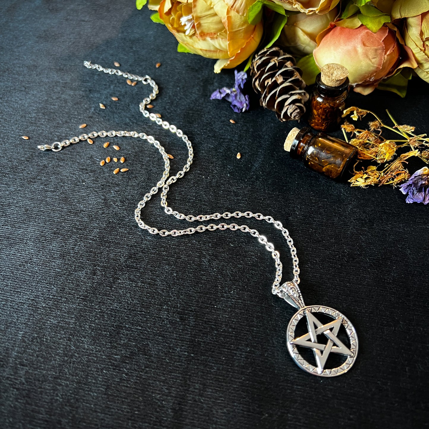 Stainless steel pentacle witch necklace The French Witch shop